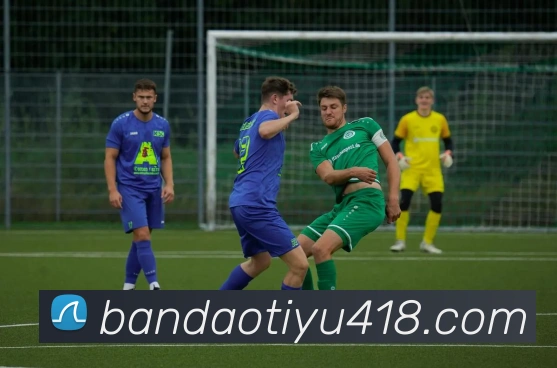 多媒体互动体验