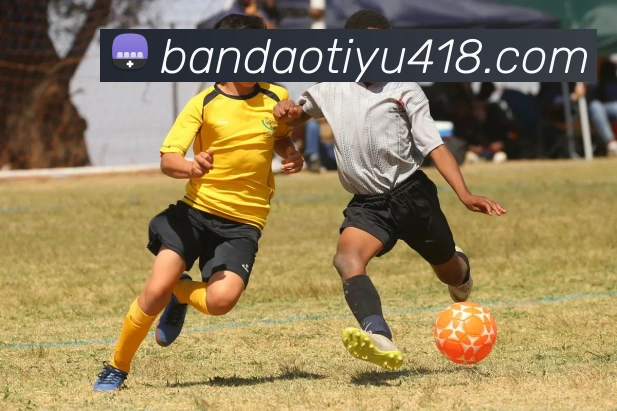 半岛体育APP 高清赛事图